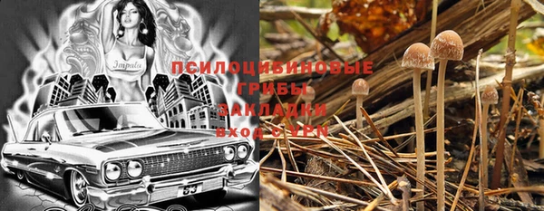 мяу мяу мука Аркадак