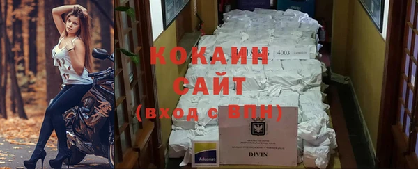 мяу мяу мука Аркадак