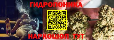 индика Мариинск
