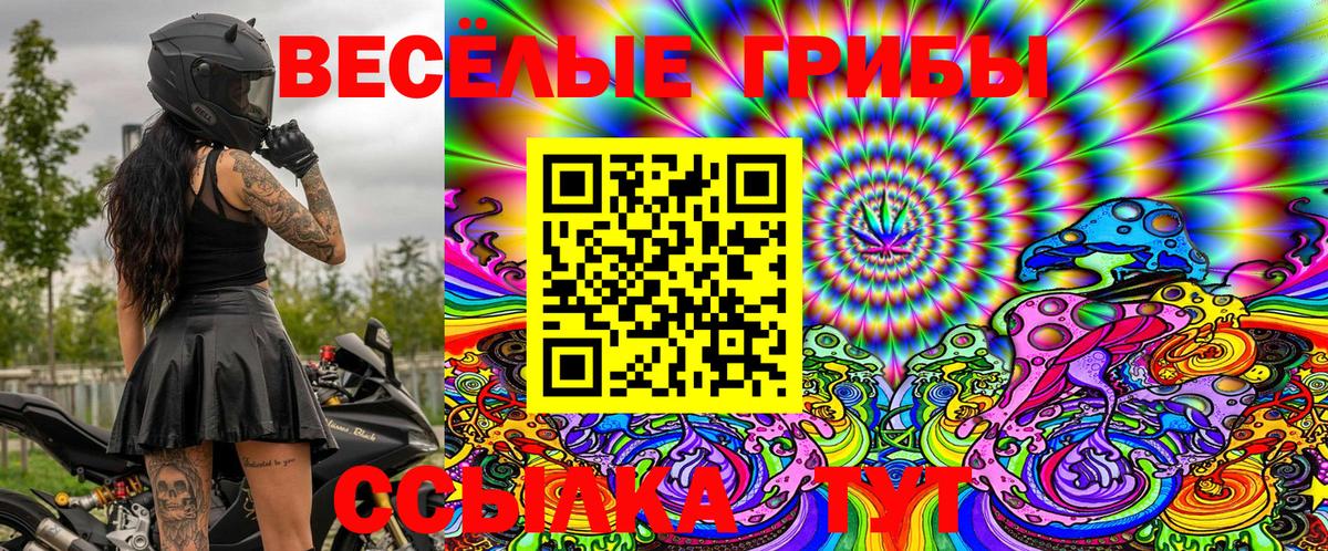 Псилоцибиновые грибы Psilocybine cubensis  даркнет сайт  Владивосток  Вход с VPN 