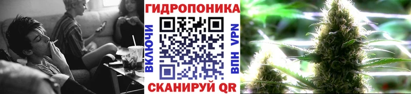 Бошки Шишки White Widow  как найти   Владивосток 
